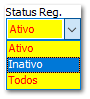 4.12.2. Consultas por cadastros não Auditados