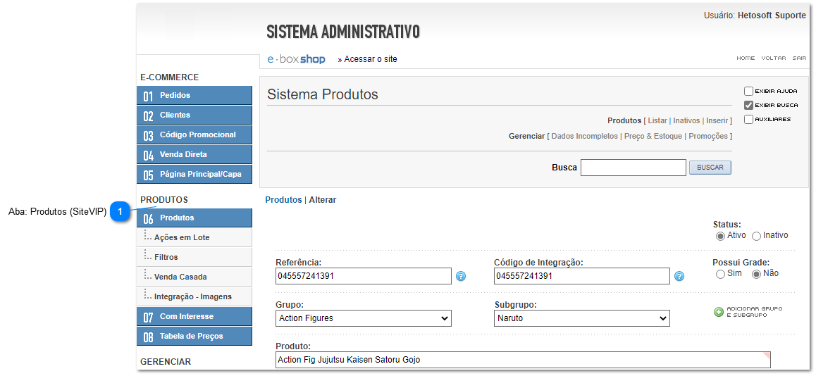 4.9.4. Envio de dados via API (SiteVIP)