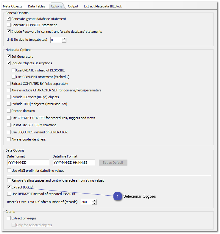 6.5.4. Extract Metadata