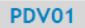 1. Identificação PDV
